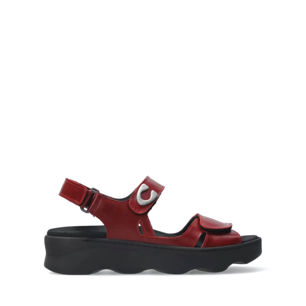 Medusa Oxblood
