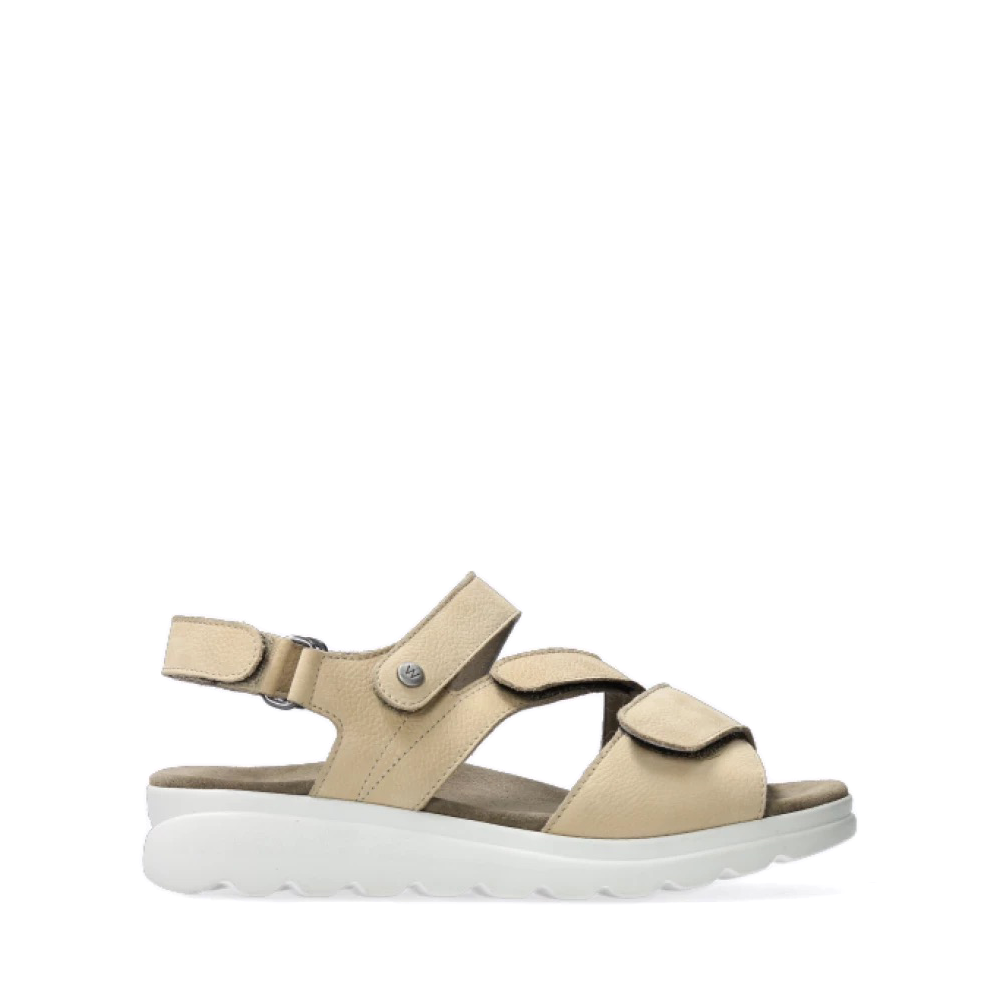 Yard Beige